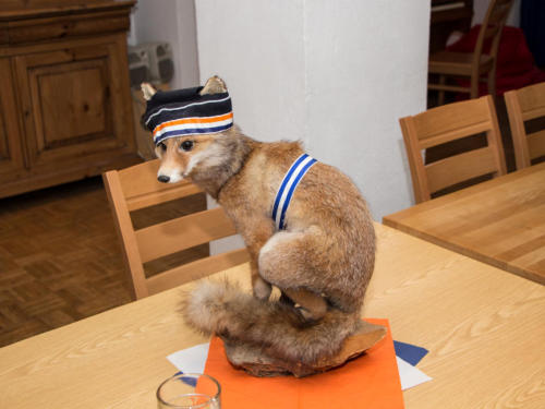 Couleurkater im Kneipsaal